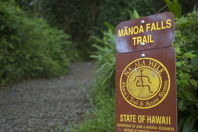 8th STB senior NCOs visit Manoa Falls, build camaraderie