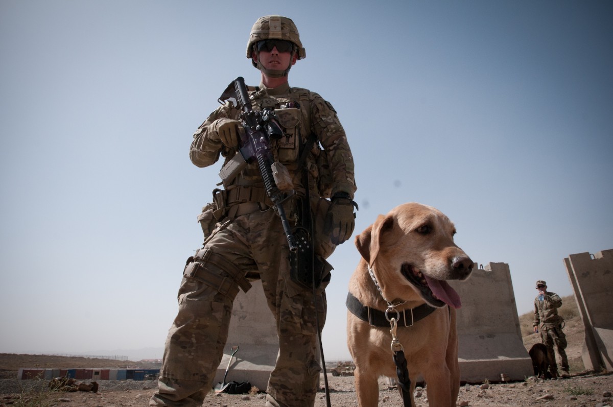 K-9 teams help IED fight in Afghanistan | Article | The United States Army