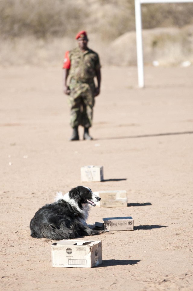 US vets teach K-9 care to BDF military police