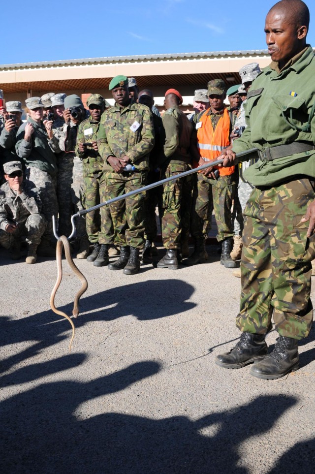 Soldiers get a lesson in snake safety