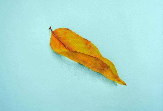 Leaf - 2nd place drawing