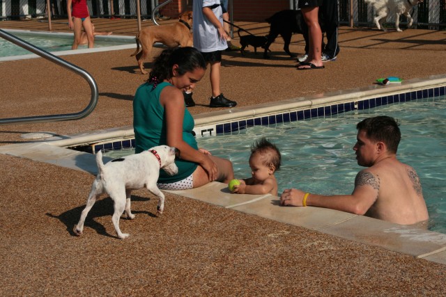 Doggie Day ends outdoor swim season
