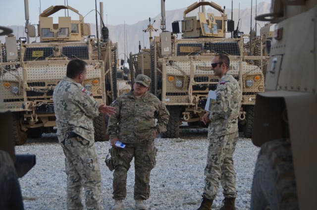 401st supports Task Force White Eagle