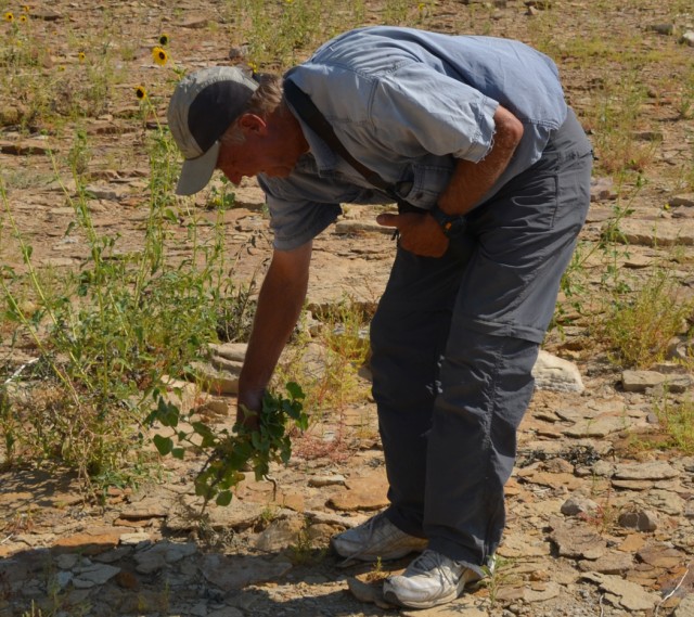 Corps' Contractor Receives Rich G. Levad Award