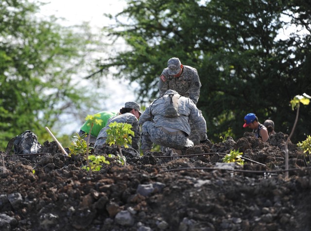 Planting