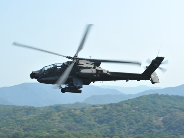 Business leaders witness combined military might