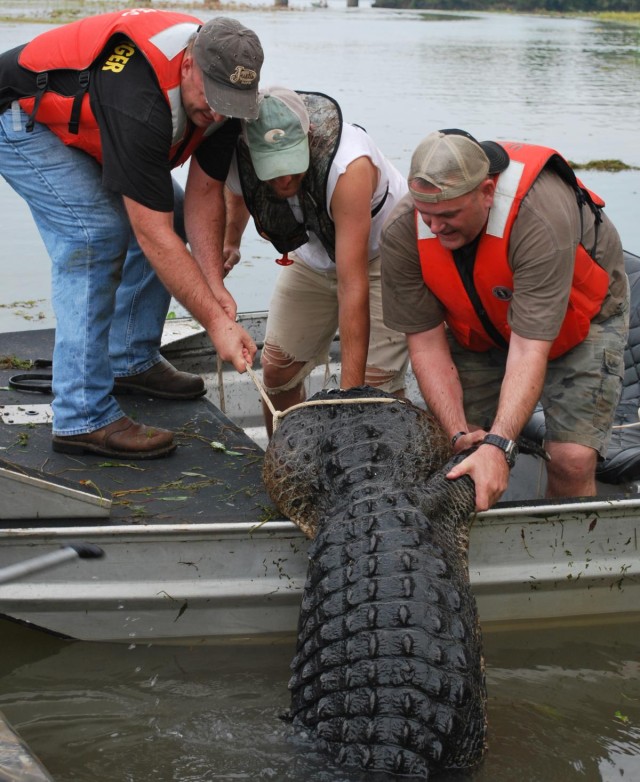 Warrior hunt at BA Steinhagen Lake nets monster gator for recovering soldiers, veterans