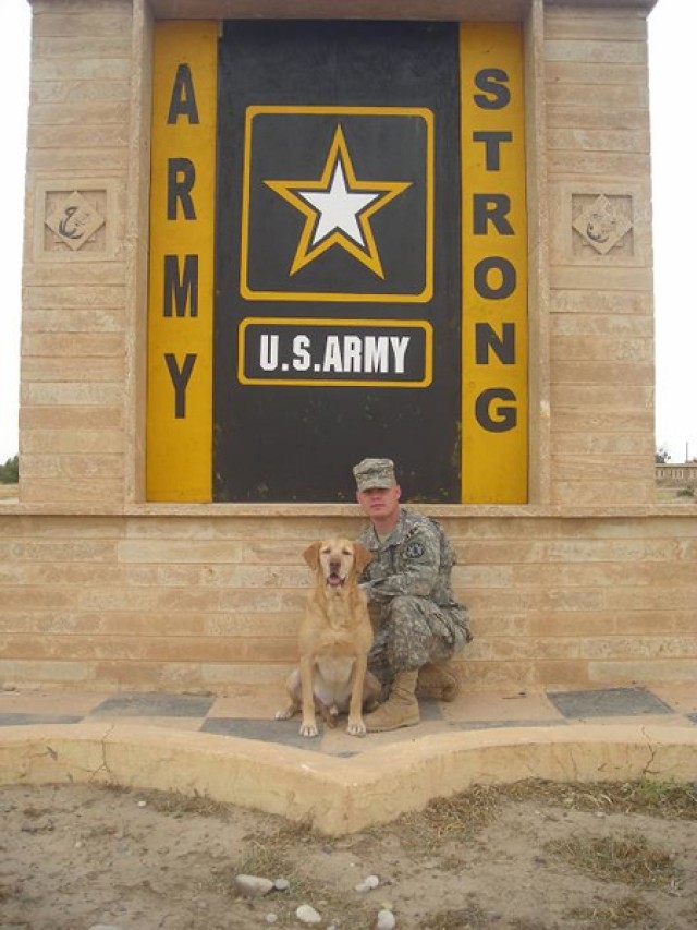 Dog, veteran, hero