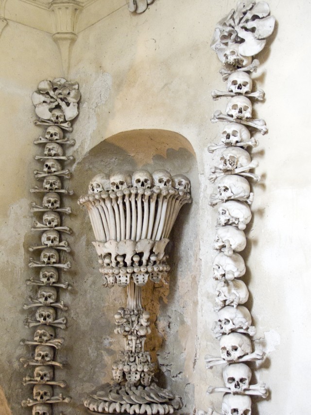 Boning up on history in the Czech Republic