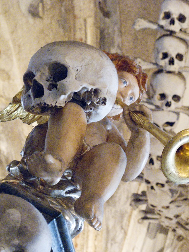 Boning up on history in the Czech Republic