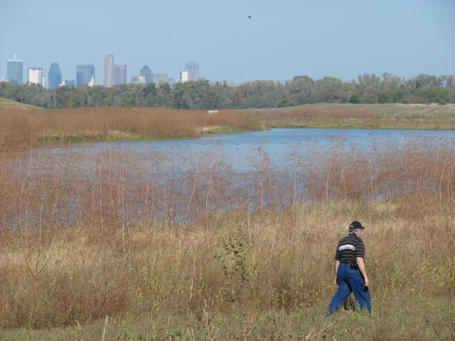 Army Corps of Engineers builds quality wetlands in Dallas urban environment