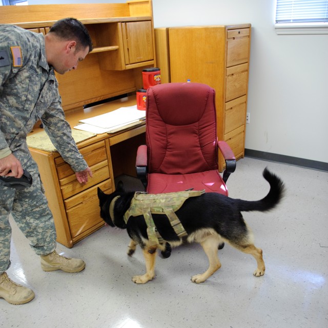 Detection dogs visit ANAD