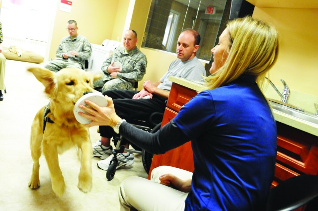 Service Dogs for wounded servicemembers