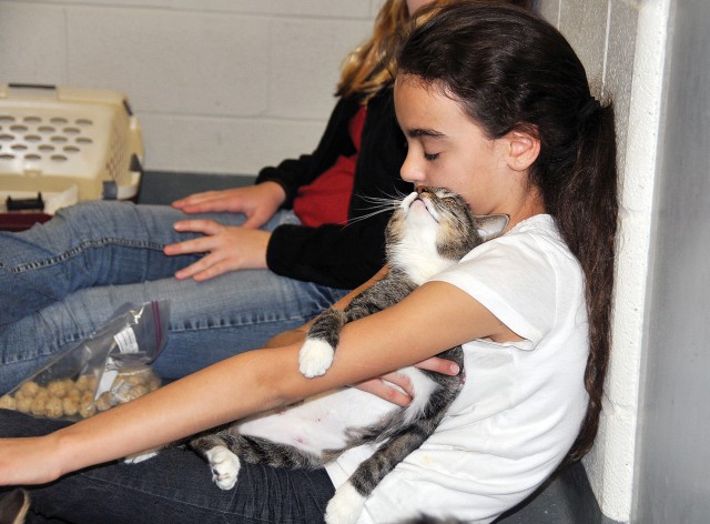 Pet Club gives treats, love to sheltered strays