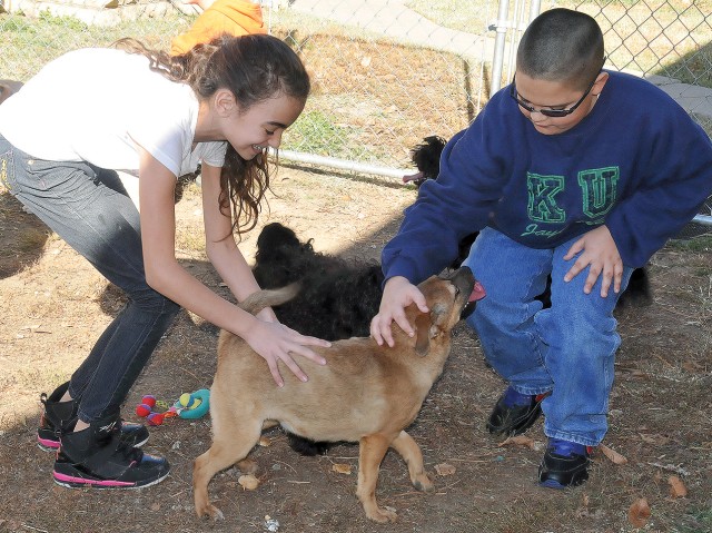 Pet Club gives treats, love to sheltered strays