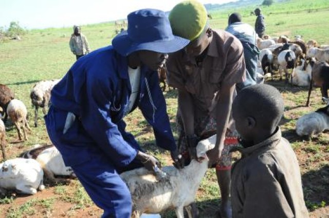 Uganda Veterinary MEDCAP