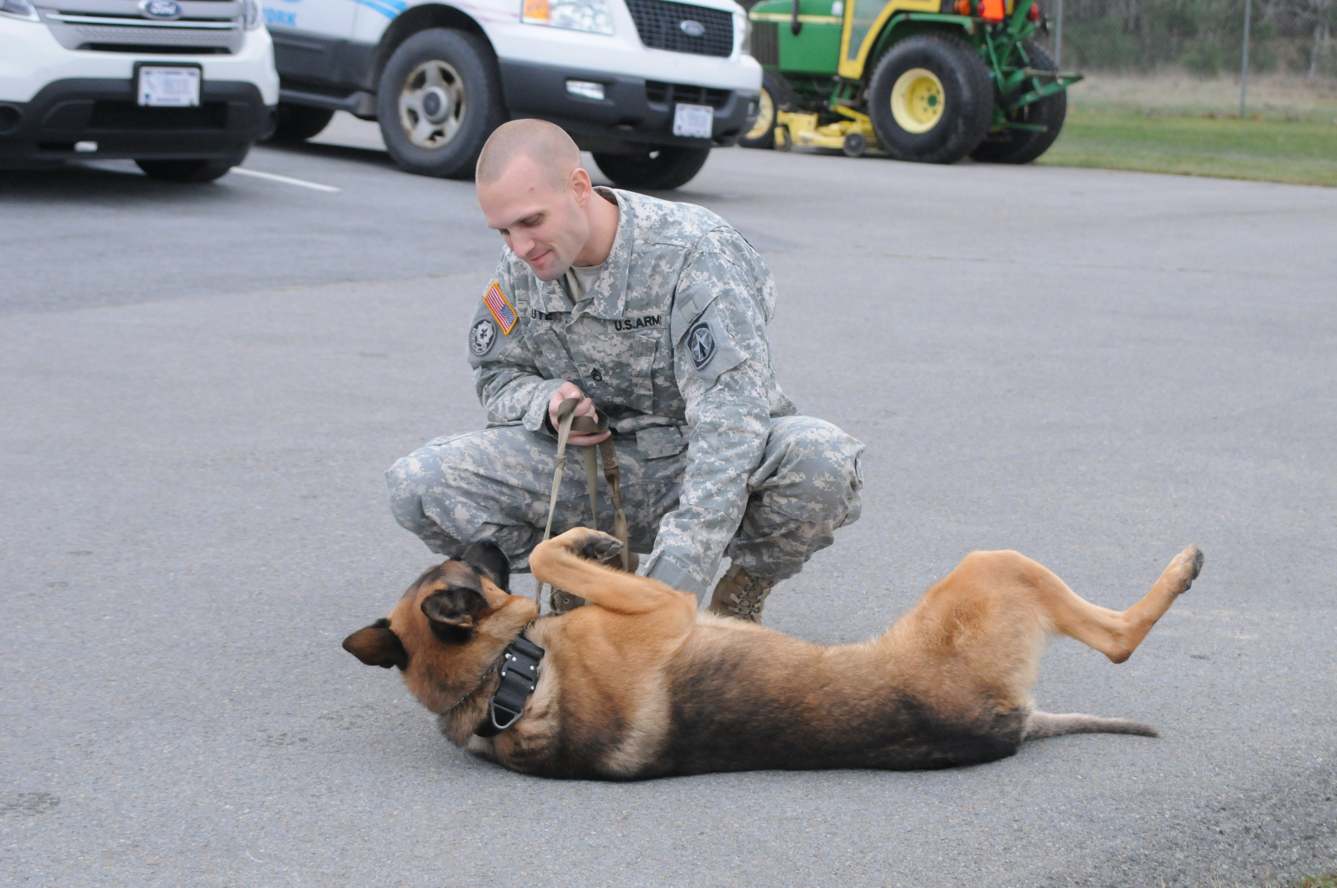 Dogs on duty Military working dogs offer oneofakind partnership