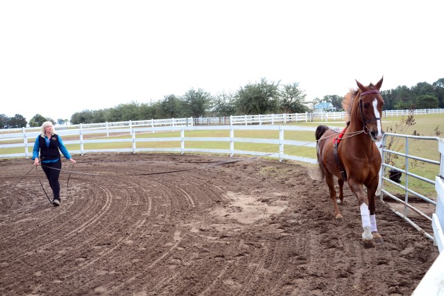 Horse trainer and Army wife; one woman's perfect balance