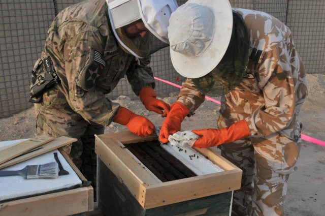 Bees: More than honey makers