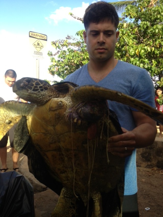 8th TSC Soldiers Rescue Endangered Green Sea Turtle