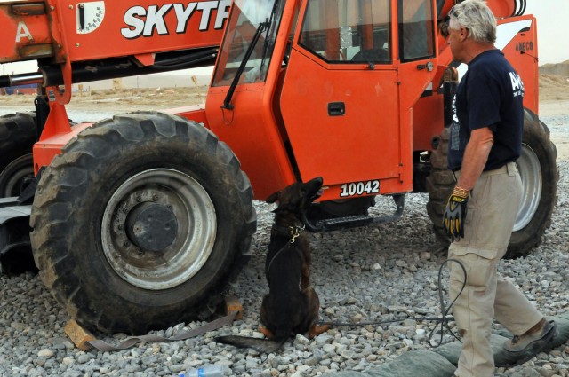 Canines keep soldiers safe, smiling