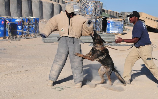 Canines keep soldiers safe, smiling