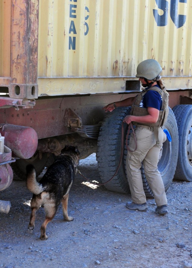 Canines keep soldiers safe, smiling