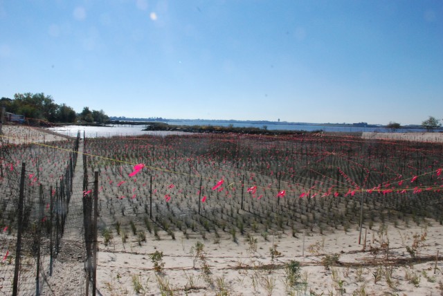 Soundview Park Ecosystem Restoration Project, Bronx, New York