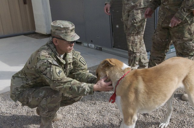 Built to Heal, 438th Med. Det. opens Veterinary Facility
