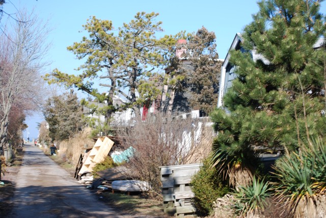 Fire Island debris