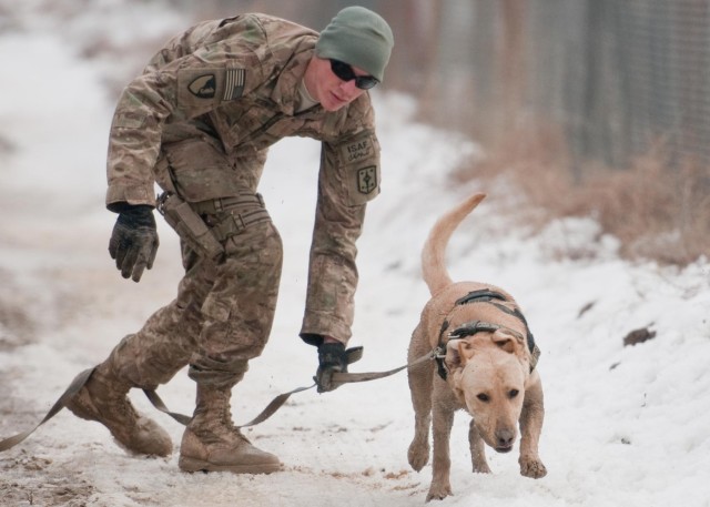 A dog's life: Mine dogs train to save lives