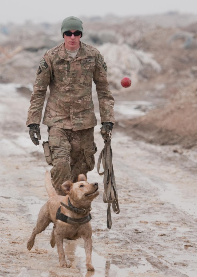 A dog's life: Mine dogs train to save lives