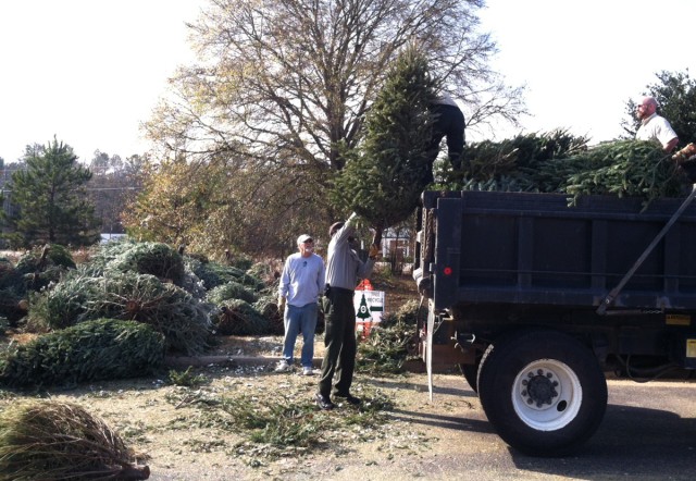 Loading used Christmas Trees