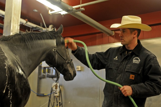 Caisson horses earn retirement