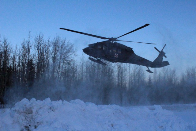 Arctic Wolves and Flying Dragons team up for MEDEVAC training