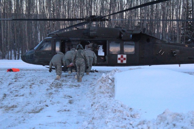 Arctic Wolves and Flying Dragons team up for MEDEVAC training