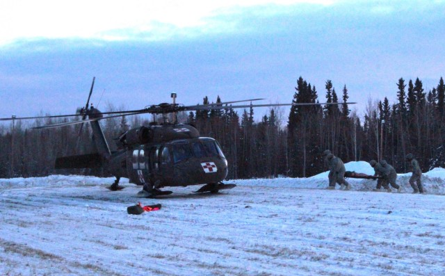 Arctic Wolves and Flying Dragons team up for MEDEVAC training