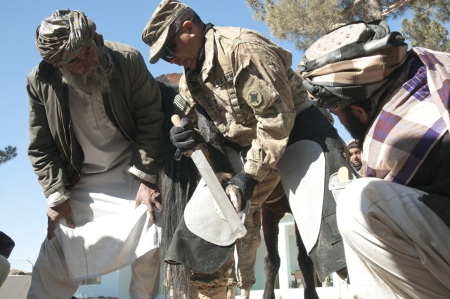 Zabul Para-vets lead Afghans to livestock success