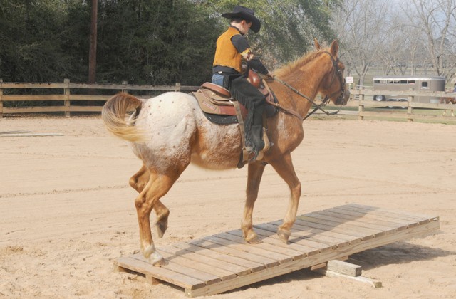 Horseman's challenge rounds up friendly competition, good time