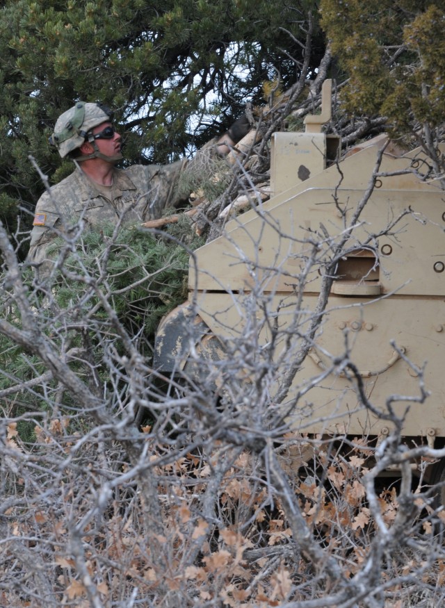 Cammo.