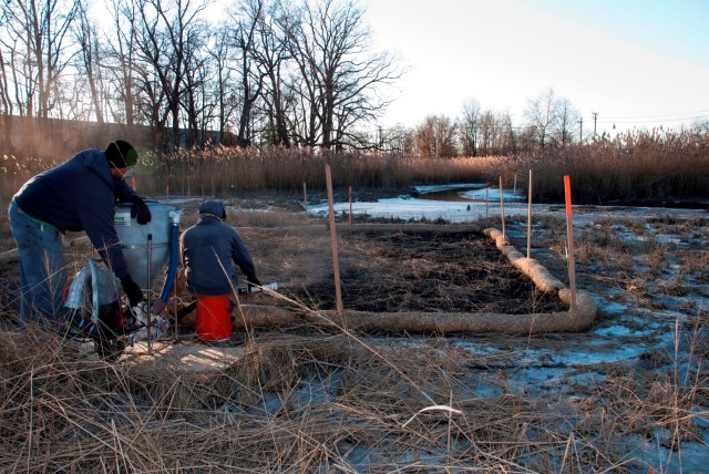 Army announces fiscal year 2012 environmental award winners