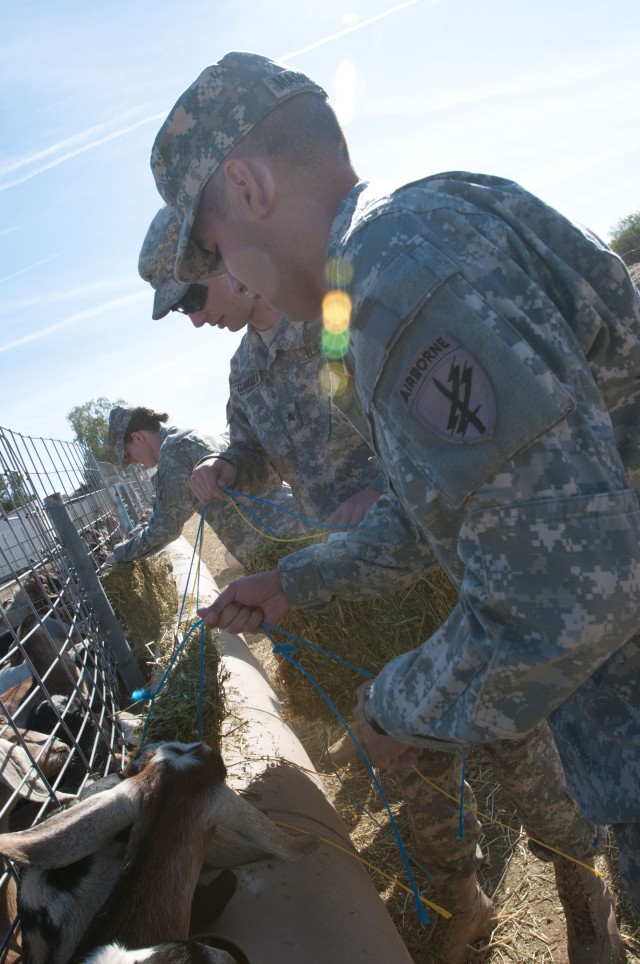 492nd 'bee'lieves in hand on training