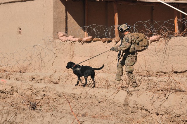 TEDD handler, dog go on first mission together