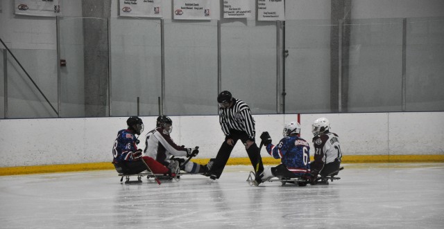 Sled hockey face off
