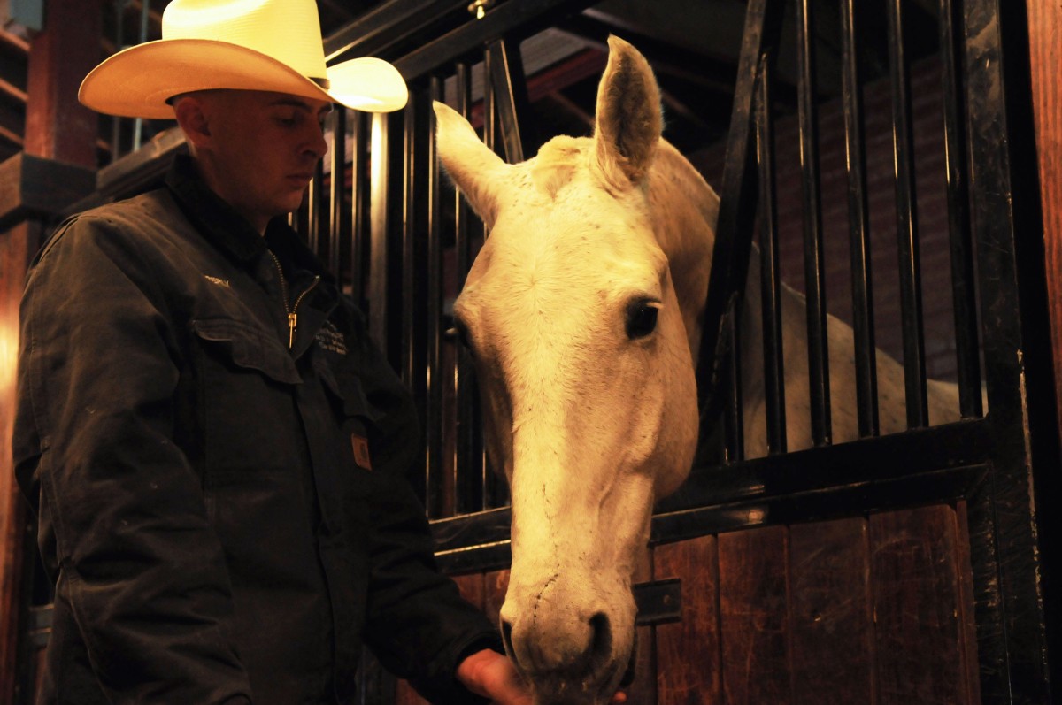 Old Guard Soldier's quick reaction saves Caisson horses | Article | The ...