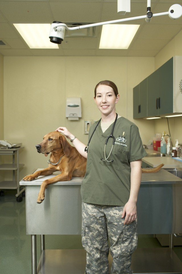Veterinary clinics scheduled for much-needed facelift in '13