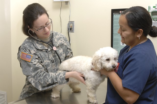 Veterinary clinics scheduled for much-needed facelift in '13