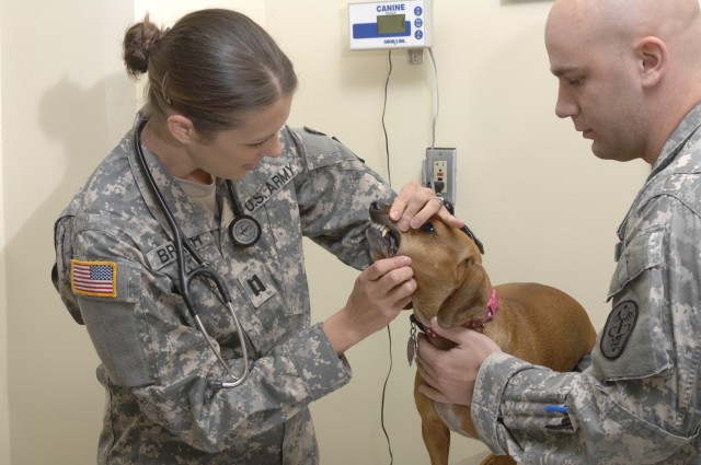Veterinary clinics scheduled for much-needed facelift in '13