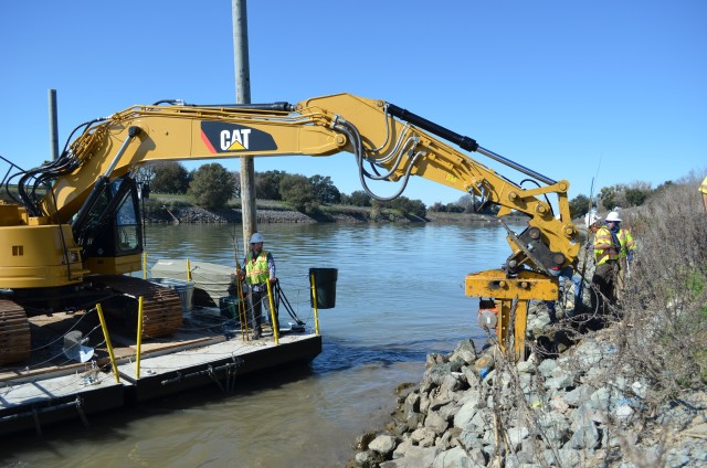Willow poles along Sacramento River help fish, won't harm levees