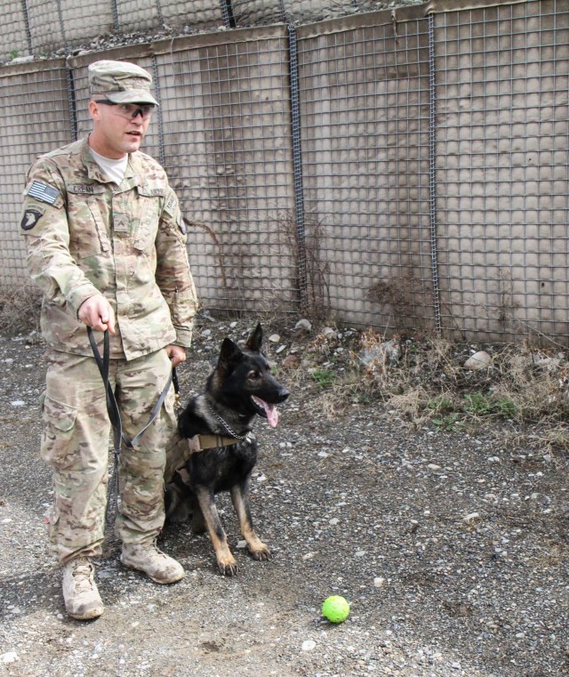 Man's best friend plays pivotal role in IED defeat